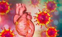 Autopsy Studies of COVID-19 Illness Rule Out Extensive Myocarditis