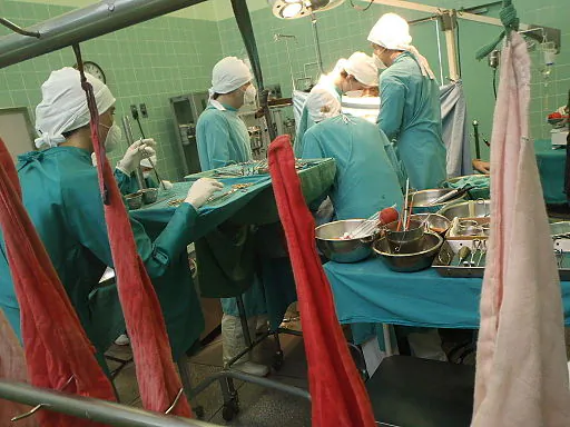 The Promise of Organ Transplants
