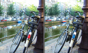 Spot the Difference Daily