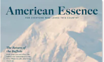 American Essence Magazine – Free Issue