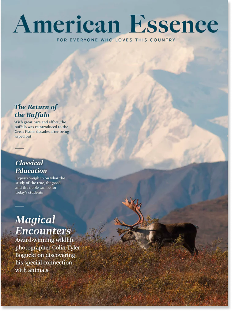 American Essence, January 2022 Edition