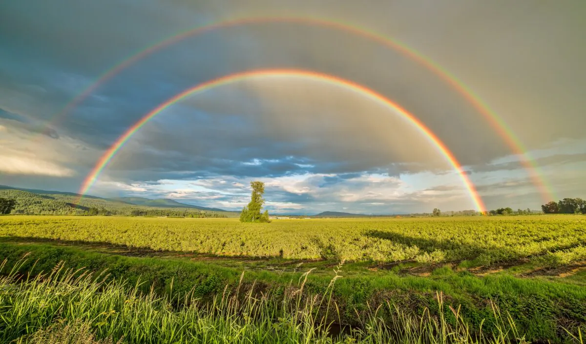 Double rainbow over the blueberry fields of Pitt Meadows, Canada. Photo by James Wheeler via Unsplash