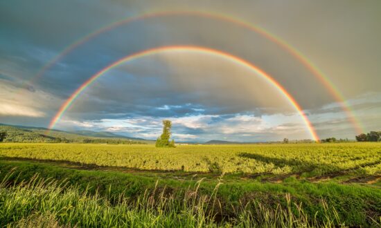 Double Rainbow Over Blueberry Fields of Pitt Meadows, Canada