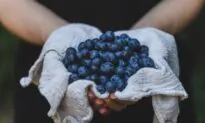 7 Proven Reasons to Eat More Blueberries