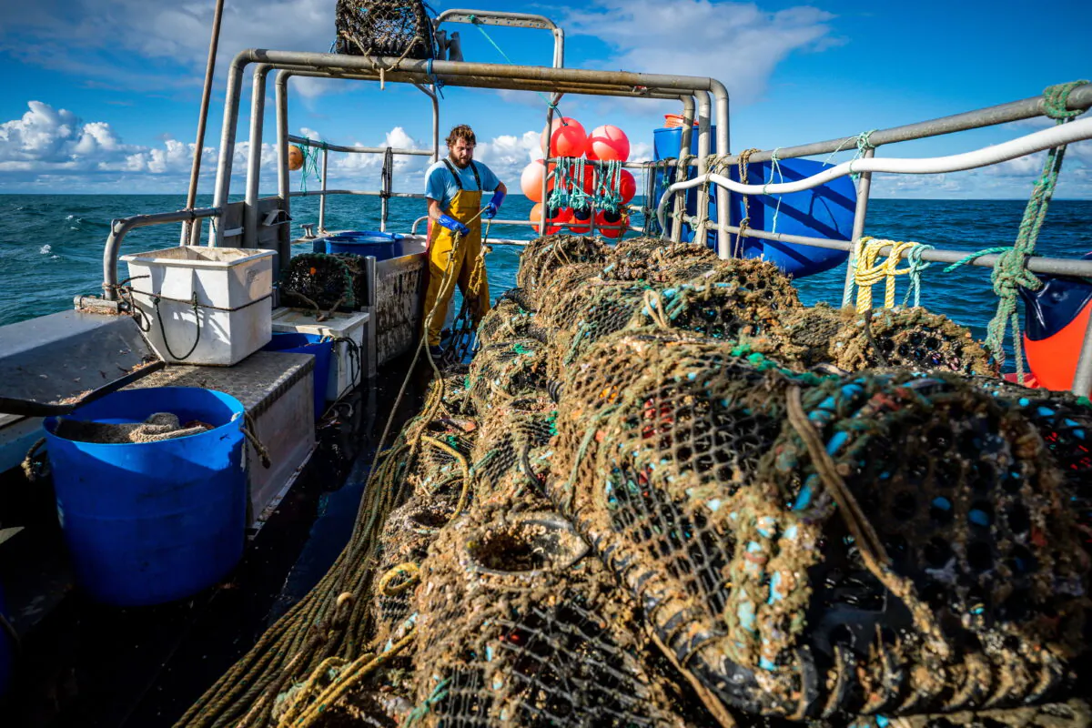 The post-Brexit fishing dispute has been centred around the number of licences issued by the UK to small French vessels. (Ben Birchall/PA)