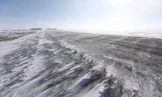Four People Including Baby Found Dead in Manitoba Near US Border