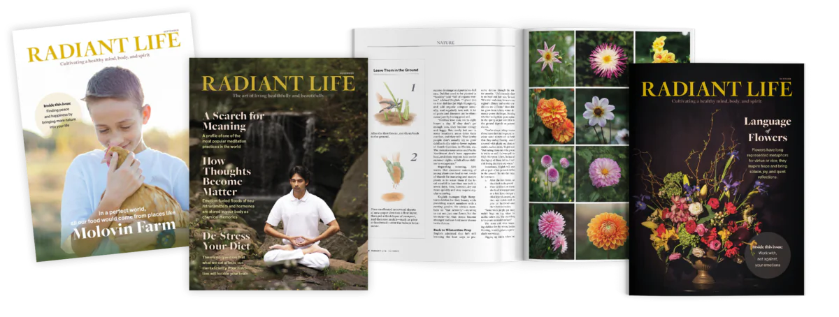 Radiant Life Magazines