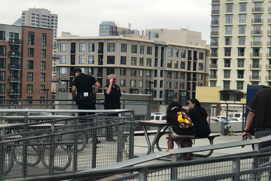 San Diego Police Conclude Mother Killed Herself, 2-Year-Old Son in Petco Park Fall Last Year