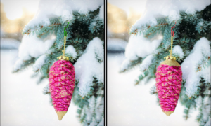 Spot the Difference Daily