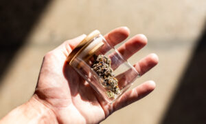 Cannabis Legalization and COVID-19 Lockdowns Increased Cannabis Use: UN Report
