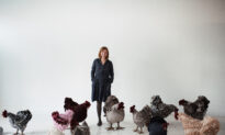 The Art of Chickening: Whimsical Designs, Serious Craftsmanship