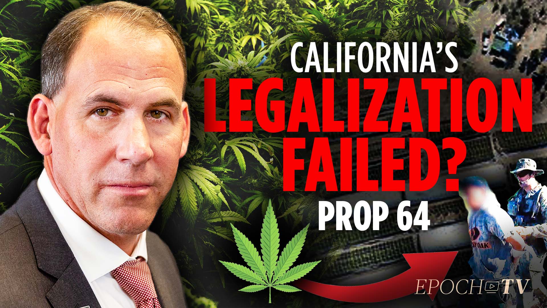 How California Law Created a Massive Marijuana Black Market - Vimarsana News