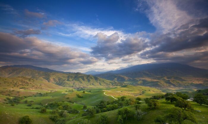 Scenic views of the rolling green hills and oak trees of the Tollhouse Ranch located in the heart of the Tehachapi corridor in California. (Courtesy of Ian Shive)