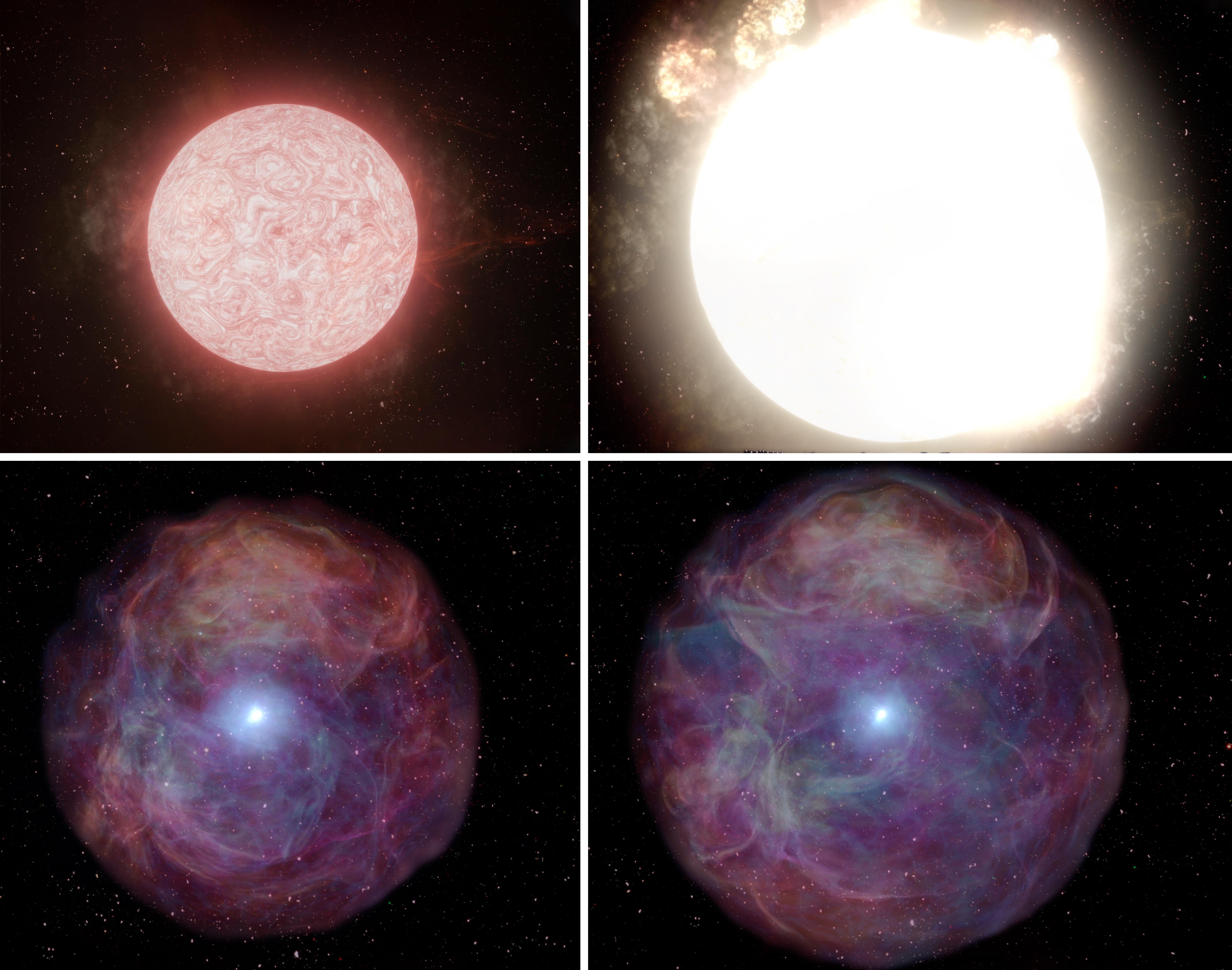 VIDEO: Los astrónomos observan la explosión de una supergigante roja 10 veces más grande que nuestro sol en tiempo real por primera vez en la historia