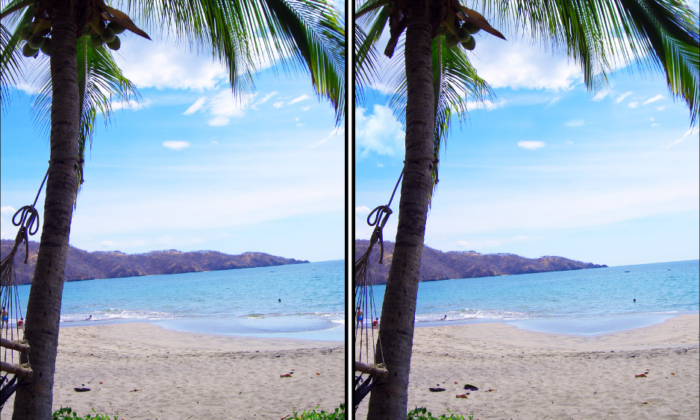 Spot the Difference Daily – Can You Find the 10 Differences?