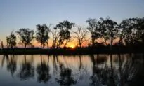 Australia Adds ‘Blue Carbon’ to Credit System