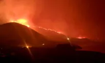 Red Tape Stokes Devastating Wildfires: Report