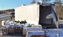 Police: Truck With 100 Monkeys Crashes, Some of Them Missing