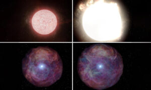 VIDEO: Astronomers Watch Red Supergiant 10X Bigger Than Our Sun Explode in Real Time for First Time Ever