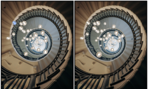 Spot the Difference Daily