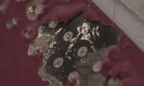 Qatar Releases Video of Scarred Jets in Airbus Dispute