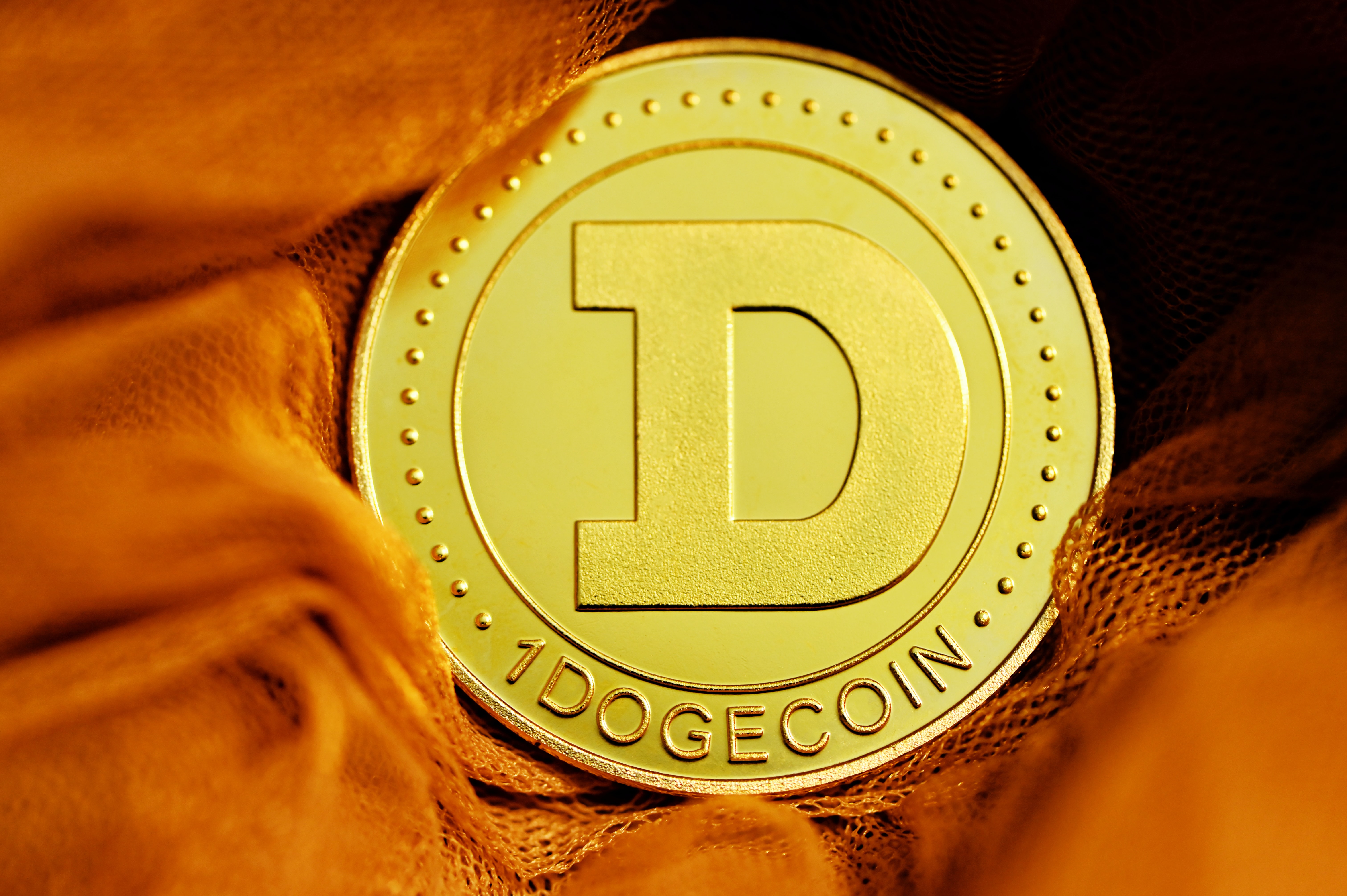 Dogecoin Co-Creator Billy Markus on the Negatives of Cryptocurrency, NFTs, and Elon Musk - Vimarsana News