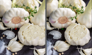 Spot the Difference Daily