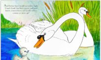 Children’s Books: ‘The Handsome Little Cygnet,’ a Tale of Love and Identity