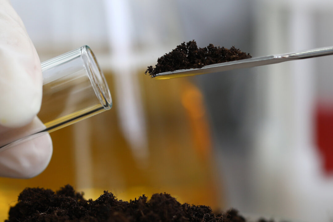 Teixobactin is an unusual depsipeptide natural product that was recently discovered from a previously unculturable soil bacterium (By H_Ko/Shutterstock)