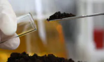 Natural Antibiotic Resists ‘Superbugs’
