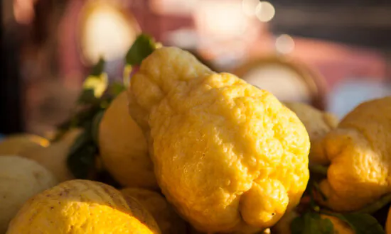 Homemade Limoncello Is Easier to Make Than You Think