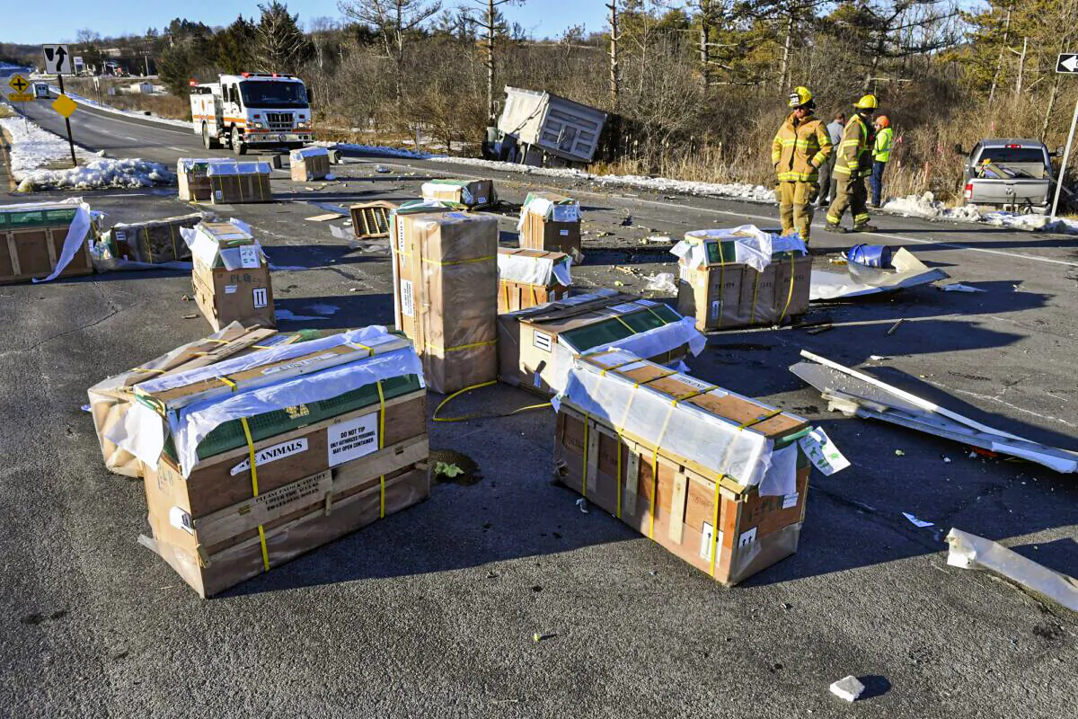 Crates holding live monkeys are scattered across the westbound lanes of state Route 54 at the junction with Interstate 80 near Danville, Pa., on Jan. 21, 2022, after a pickup pulling a trailer carrying the monkeys was hit by a dump truck. (Jimmy May/Bloomsburg Press Enterprise via AP)