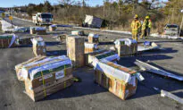 All 100 Lab Monkeys Accounted for After Several Escape Crash