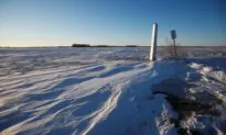 RCMP Release New Details About Indian Migrant Family Who Died at Border