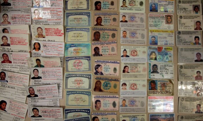 U.S. Border Patrol displays false identification cards, including fake Social Security cards and drivers licenses that they have confiscated in a file photo. (Photo by Chip Somodevilla/Getty Images)