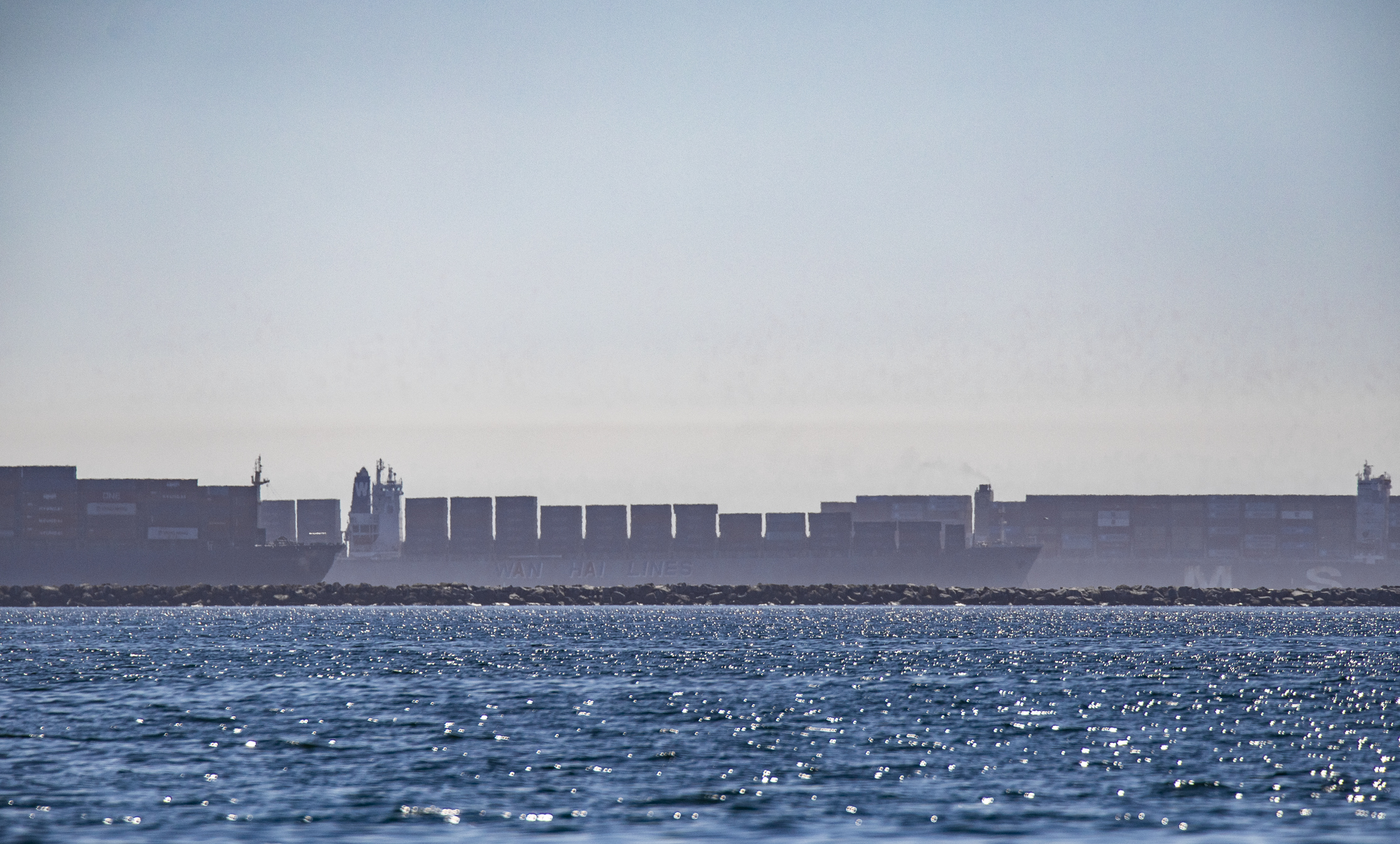 Global Shipping Company to Bring Business, Revenue to Florida Port - Vimarsana News
