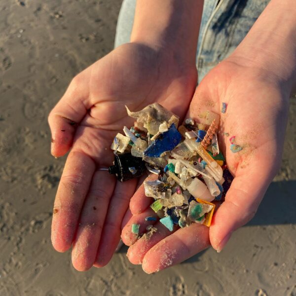 Microplastic Plastic Pollution Australia Beach