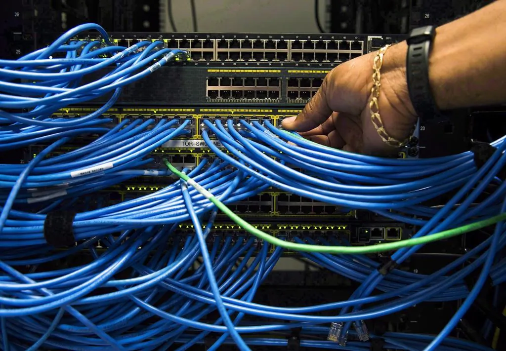 Networking cables and circuit boards are shown in Toronto on, Nov. 8, 2017. (The Canadian Press/Nathan Denette)