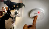 Dog Wakes Owner in Middle of Night, Credited for Saving Family of 3 From Carbon Monoxide Poisoning