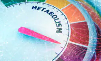 When Does Your Metabolism Slow Down?