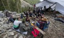 BC Appeal Court Extends Injunction Against Protests at Fairy Creek Until September