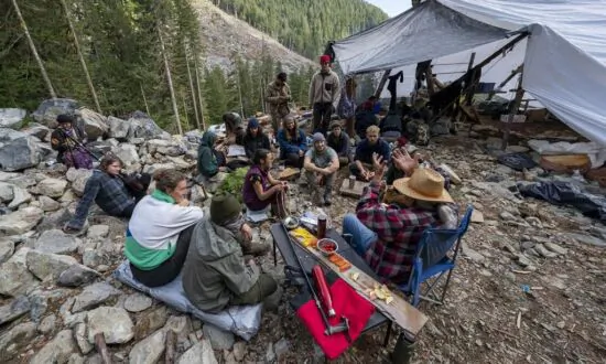 BC Appeal Court Extends Injunction Against Protests at Fairy Creek Until September
