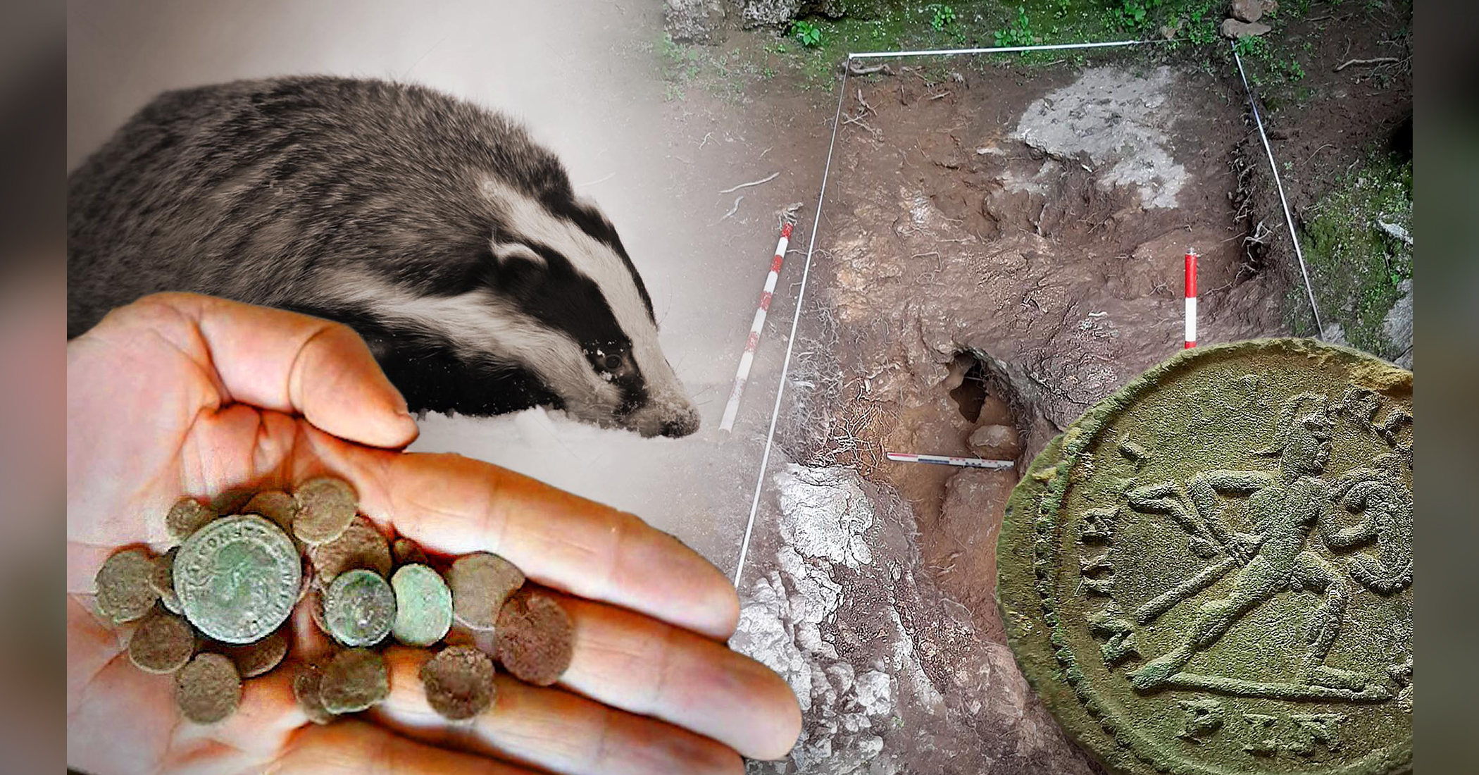 Foraging Badger Unearths Trove of Over 200 Roman Coins Dating Back to