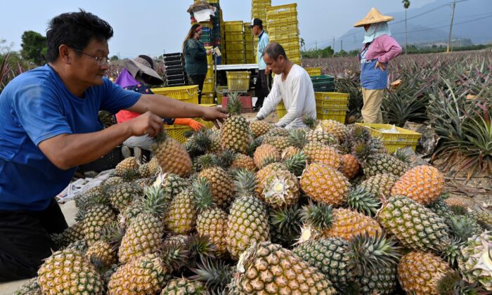 Chinese Regime Launches Investigation Into Taiwan S Trade Barriers To   GettyImages 1231895476 700x420 