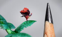 Microsculpture Artist Uses Microscope to Carve Unbelievably Tiny Birds, Beasts, Buildings Smaller Than Pinhead