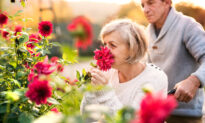 For Older Adults, Smelling the Roses May Be More Difficult