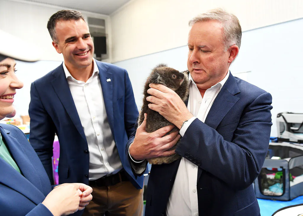 South Australian Opposition Leader Peter Malinaukas (L) with Federal Opposition Leader Anthony Albanese in Adelaide, Australia on January 08, 2020 (Photo by Mark Brake/Getty Images)