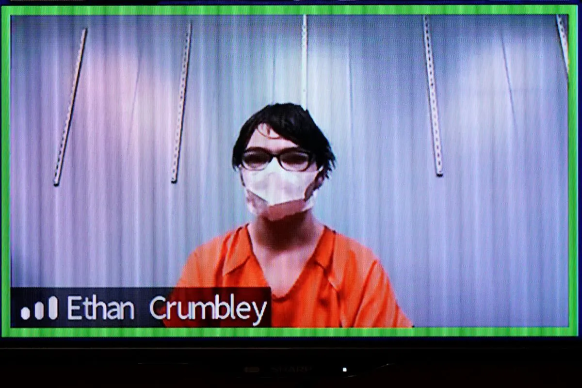 Ethan Crumbley in a Zoom hearing in Rochester Hills, Mich., on Jan. 7, 2022. (Carlos Osorio/AP Photo)