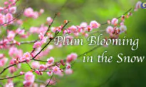 A Lively and Beautiful Chinese Flute Song | Musical Moments