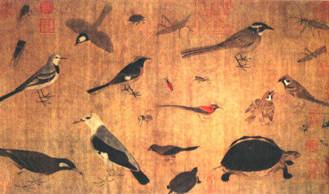 Sketch of Rare Birds by Huang Quan. The painting represents 20 animals dominated by birds including two bees and a wasp. (Supplied)